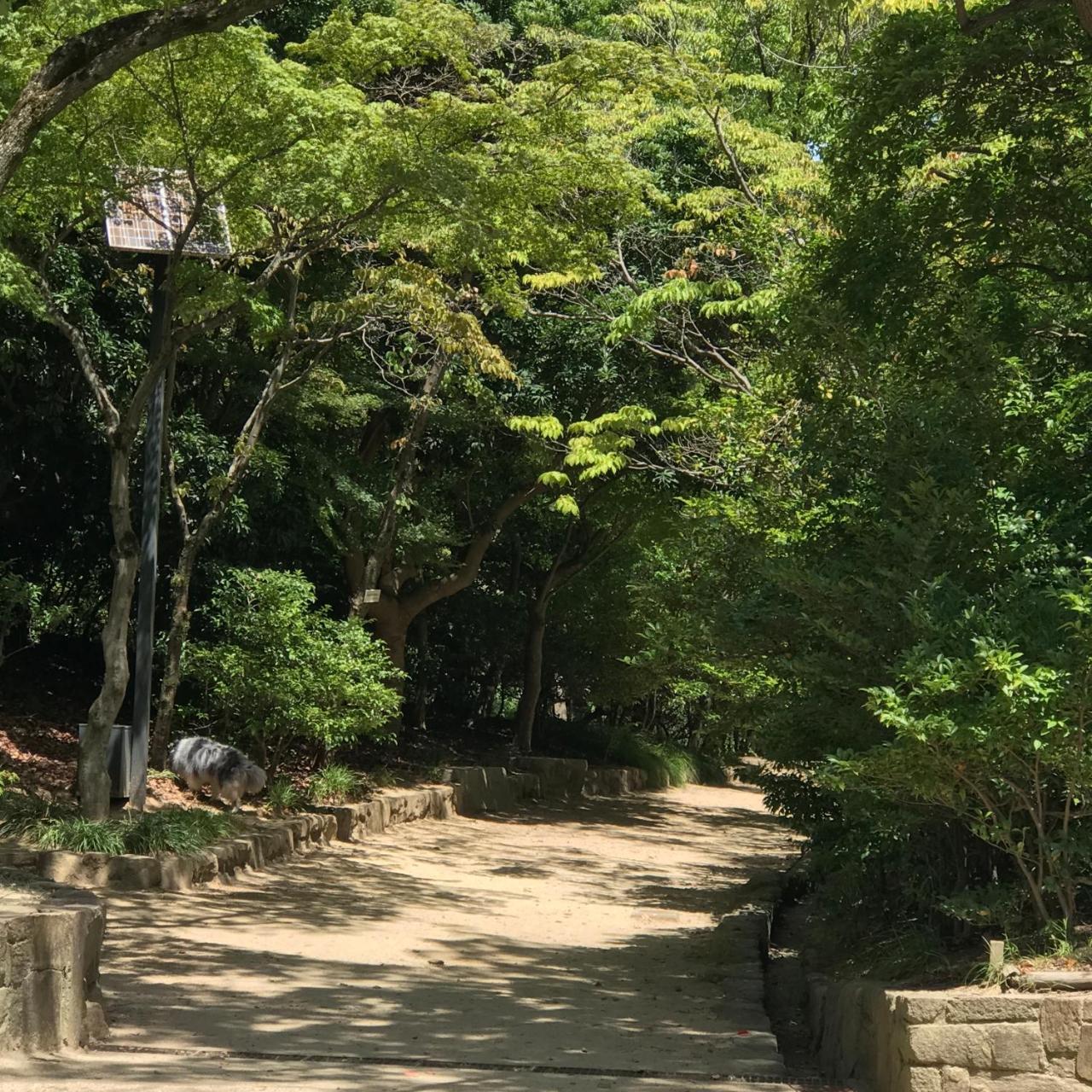 Appartamento Koi Koi Takamatsu Esterno foto